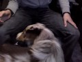 20122009003.MP4