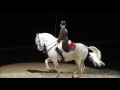 A Bécsi Spanyol lovasiskola budapesti előadásából