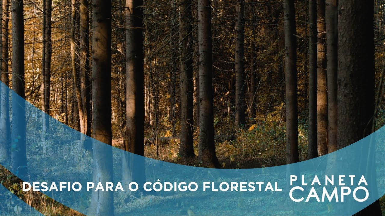 Como acelerar a validação do CAR no Brasil?