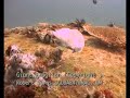 Giant Frogfish
