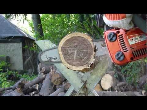 efco - This is no comparison. This video is simply for informational purposes for people interested in the cutting quality of a Oleo Mac/ Efco tophandle saw. The wo...