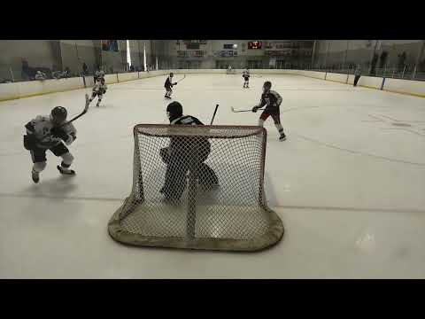 Affton Americans 16U AA Vs. Orland Park Vikings  - CSDHL Playoffs - 2023 / 2024 Season