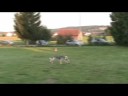 Iris und Nina - Minidistance Iris und Nina - Minidistance