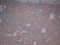Pride of URAWA