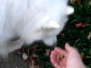 Juneau is no longer blind!