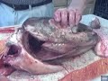 FAST FISH CLEANING