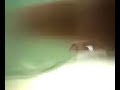 1�b - Bidoia Matando a Camila.