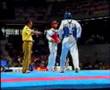 IRAN taekwondo champion:behzad Khodadad