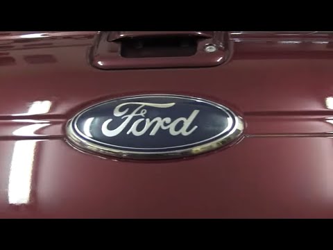 ford emblem repair