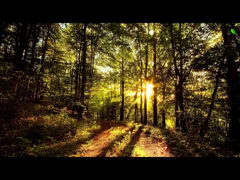 how to discover life