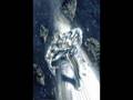 Marvel & DC - God is a girl