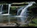 clip video New Order Your Silent Face