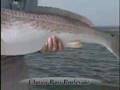 Game Fish - Redfish