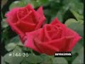 smooth jazz - ramsey lewis - quiet storm smooth jazz - ramsey lewis - quiet storm