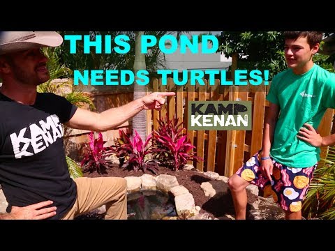 YouTube reptile video