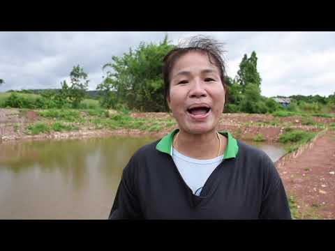 ตอน “สร้างสุข ด้วยเกษตรทฤษฎีใหม่" โครงการ ๑ ตำบล ๑ กลุ่มเกษตรทฤษฎีใหม่ จ. อุตรดิตถ์