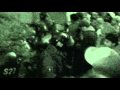 NonViolent UC Berkeley Students Get Beat By Police For Standing Their Ground