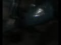 wilmer pantaleón canta... Ore por tí, Hermanitos en la fe y la dulce presencia