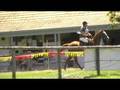 *~*Samford ODE-Cross Country Phase Part 1*~*Zara