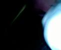 Thumbnail #1