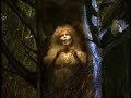 into the woods act i part 2