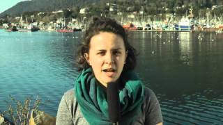 Cutting Edge News 4/1/2016