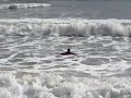 Barra do Una - SURF