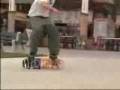skatebording by Rodney Mullen