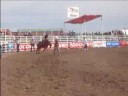 strathmore steer riding long go strathmore steer riding long go