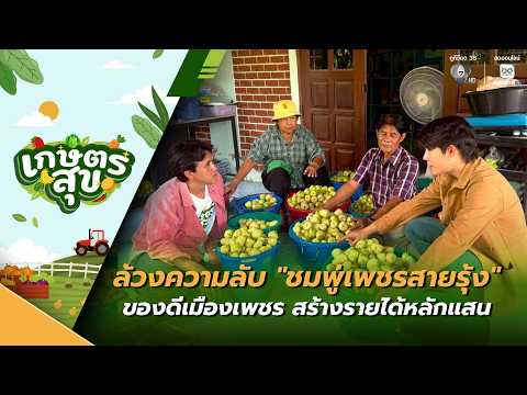 ล้วงความลับ "ชมพู่เพชรสายรุ้ง" ของดีเมืองเพชร สร้างรายได้หลักแสน