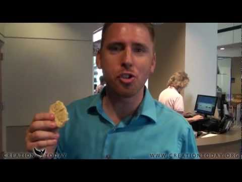 Eric Hovind tours the Wycliffe Discovery Center