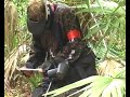 dday-hold-the-hill-scenario-71506.html