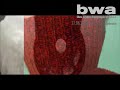 ?wi?to Kielc w BWA 2008
