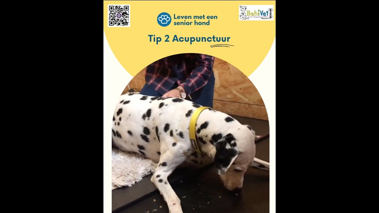 TIP 2 - Acupunctuur tegen pijn en voor een betere doorbloeding