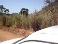 Eu de carro!auhauhahah!