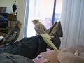 Lacy and Pasta