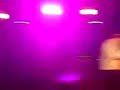 Los Tres/ Café Tacvba - Déjate caer Los Tres/ Café Tacvba - Déjate caer