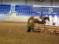 Hunter Jumper GO Show Hunter Jumper GO Show