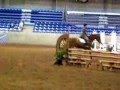 Hunter Jumper GO Show