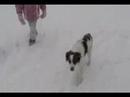 Blizzard 2008