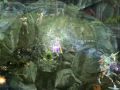 videos de Soul of the Ultimate Nation E3 2009 Movie