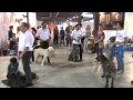 Clicca per visualizzare il video : Laghi & Monti: