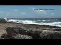 Bonaire Eco Rape Burney El Hage and Elsmarie Beukenboom
