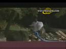 Turtle Island Resort Hotel, Fiji Vacations, turtle island video