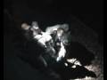 videos de Siluros en mequinenza!! Doblete de 18 y 75 kilos 1º parte