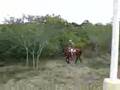 Me horseback riding...