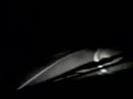 Panda 750 a 200 km/h! Panda 750 a 200 km/h!