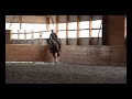 10 year old Hanoverian for sale(WeltmeyerxDonnerhall). Schooling I1.Great amateur horse. lewisjelah@aol.com