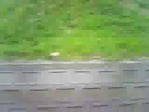 車窓から(京成津田沼-大久保)