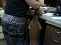 Feeding time(1)